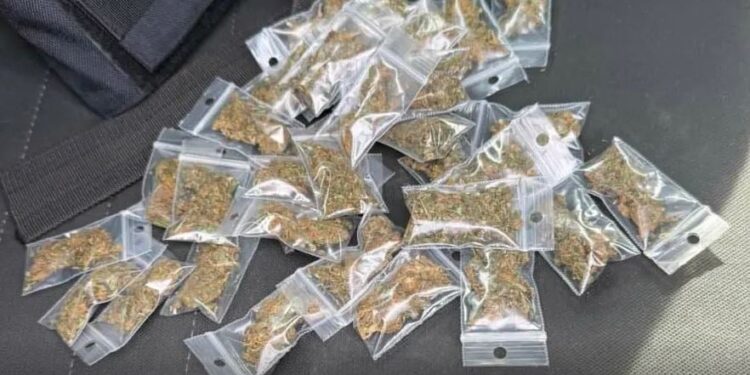 Ασπρόπυργος: Δύο συλλήψεις για ναρκωτικά έπειτα από αστυνομική επιχείρηση