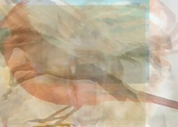 Αυτό που βλέπετε πρώτα στην εικόνα αποκαλύπτει τον τρόπο που δείχνετε την αγάπη σας σε μια σχέση