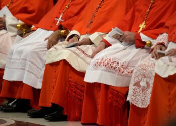 Κάποιοι θέλουν να συνεχίσουν τις μεταρρυθμίσεις του Φραγκίσκου, ενώ άλλοι θέλουν έναν διαφορετικό τύπο Πάπα