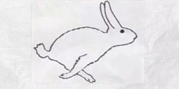 Πάπια ή κουνέλι; Το ζώο που βλέπετε πρώτα στην εικόνα αποκαλύπτει αν είστε συναισθηματικός ή λογικός άνθρωπος