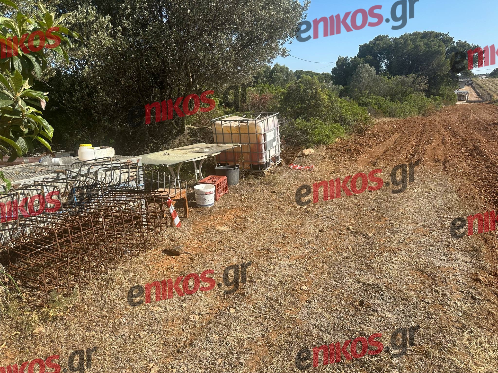 Ραφήνα, δολοφονία