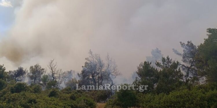Βελτιωμένη η εικόνα της φωτιάς στη Pιτσώνα