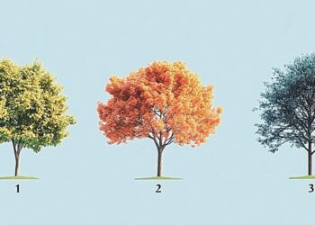 Το δέντρο που θα επιλέξετε αποκαλύπτει τον πραγματικό χαρακτήρα σας