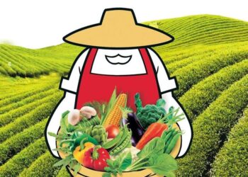 Πώς θα διατεθούν οι επενδύσεις 40 εκατ. της Μπάρμπα Στάθης