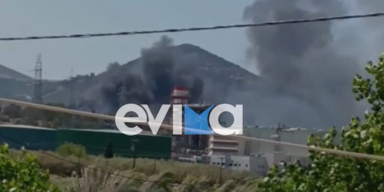 Εύβοια: Φωτιά σε προαύλιο χώρο επιχείρησης ανακύκλωσης