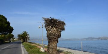 Καιρός: Έως τους 36 βαθμούς η θερμοκρασία