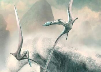 Άγνωστο είδος πτερόσαυρου ανακαλύφθηκε στη Γερμανία