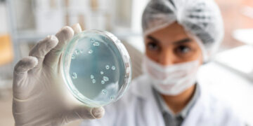 Επιστήμονες μετατρέπουν θανατηφόρο μύκητα της «κατάρας των Φαραώ» σε φάρμακο κατά της λευχαιμίας