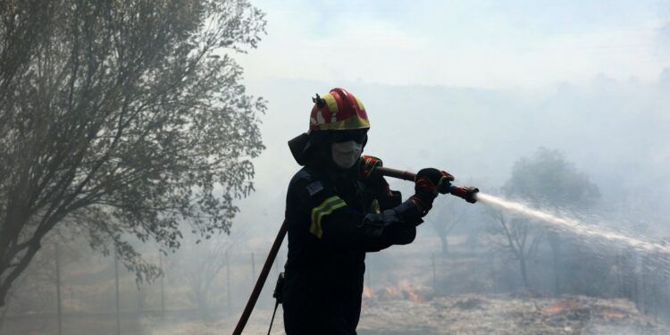Φωτιά τώρα στην Κάτω Κρυά Λασιθίου – Επί ποδός η Πυροσβεστική