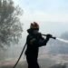 Φωτιά τώρα στην Κάτω Κρυά Λασιθίου – Επί ποδός η Πυροσβεστική