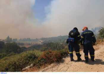 Φωτιά στη Χίο: «Μάχη» με τα 8 μποφόρ δίνουν οι πυροσβεστικές δυνάμεις
