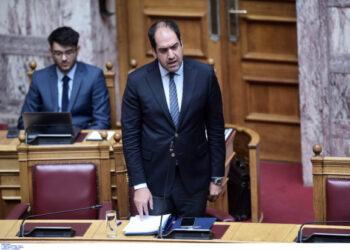 Κεφαλογιάννης για φωτιά στη Χίο: Θεωρούμε εξαιρετικά ύποπτο ότι είχαμε 5 μέτωπα σε διαφορετικά σημεία