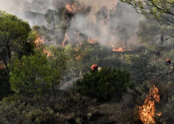 Φωτιά τώρα σε δάσος στα Βίλια Αττικής