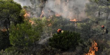 Φωτιά τώρα σε δάσος στα Βίλια Αττικής