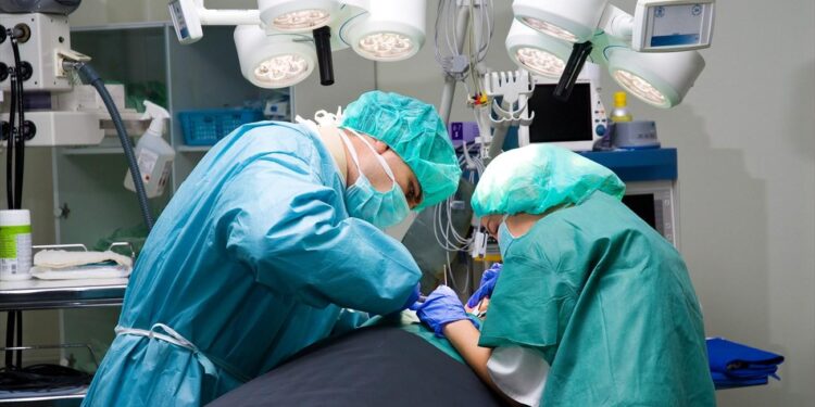 Σε Ελλάδα, Ιταλία και Γερμανία, τα όργανα του τραγικού 12χρονου που έχασε την ζωή του στον Άραχθο