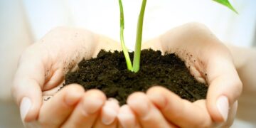 Τα φυτά διαθέτουν ένα δεύτερο δίκτυο ριζών που αγνοούσαμε μέχρι σήμερα