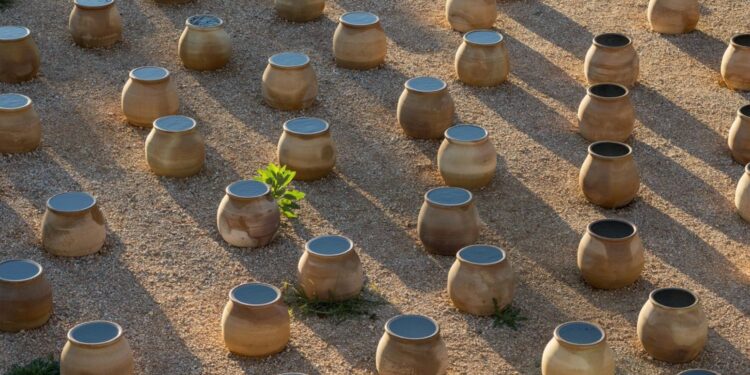 Δανάη Στράτου – «Ενάρετη Σπείρα»: Παρουσίαση της εγκατάστασης που κέρδισε το Βραβείο Τέχνης 2025 του Ιδρύματος Γ.&Α. Μαμιδάκη