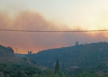 Μεγάλη φωτιά στη Μεσσηνία – Καίγεται αγροτοδασική έκταση