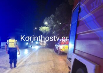Πτώση δέντρου λόγω της κακοκαιρίας στην επαρχιακή οδό Ισθμού – Επιδαύρου