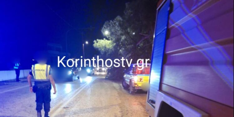 Πτώση δέντρου λόγω της κακοκαιρίας στην επαρχιακή οδό Ισθμού – Επιδαύρου