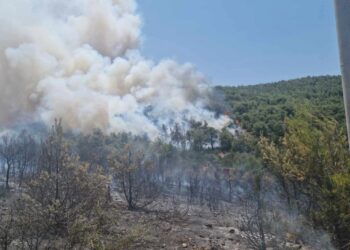 Δήμος Μαραθώνα: «Η πυρκαγιά έχει πλέον άλλη κατεύθυνση, να είστε ιδιαίτερα προσεκτικοί»