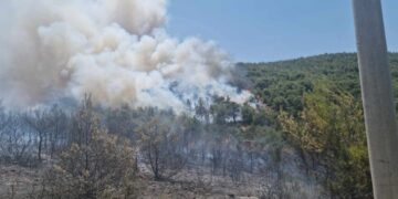 Δήμος Μαραθώνα: «Η πυρκαγιά έχει πλέον άλλη κατεύθυνση, να είστε ιδιαίτερα προσεκτικοί»