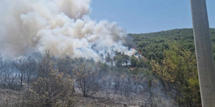 Δήμος Μαραθώνα: «Η πυρκαγιά έχει πλέον άλλη κατεύθυνση, να είστε ιδιαίτερα προσεκτικοί»