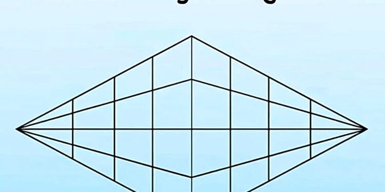 Mπορείτε να βρείτε πόσα τρίγωνα έχει το σχήμα σε 29 δευτερόλεπτα;