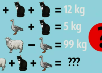 Mπορείτε να κάνετε γρήγορα τις πράξεις και να βρείτε τον αριθμό που λείπει σε 14 δευτερόλεπτα;