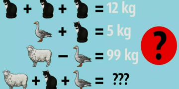 Mπορείτε να κάνετε γρήγορα τις πράξεις και να βρείτε τον αριθμό που λείπει σε 14 δευτερόλεπτα;