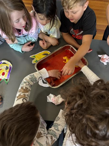 STEM Program