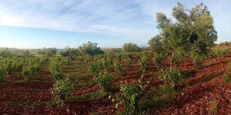 Γευσιγνωσία στο Οινοποιείο Ακριώτου και ευκαιρία για απόδραση