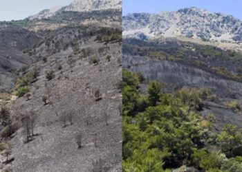 Φωτιά στη Χίο: Πλάνα από drone «μαρτυρούν» το μέγεθος της καταστροφής