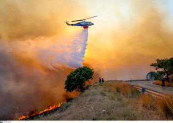 Φωτιά στη Χίο: Μια ανάσα από τα σπίτια το πύρινο μέτωπο