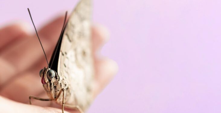 Σκόροι: Το απλό κόλπο με 1 υλικό για να τους κρατήσετε μακριά από το σπίτι σας