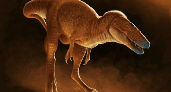 Ιδού ο «Πρίγκιπας Δράκος» που ξαναγράφει την ιστορία των Τυραννόσαυρων