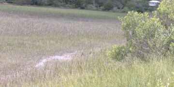 Τουρίστες έκαναν «ιστορικά σημαντική» ανακάλυψη σε παραλία