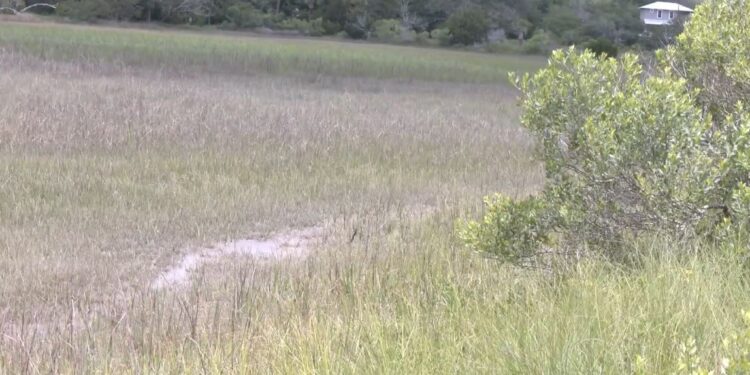 Τουρίστες έκαναν «ιστορικά σημαντική» ανακάλυψη σε παραλία