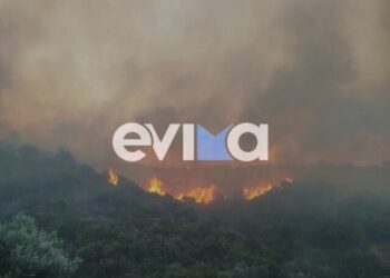 Big fire in Evia: Forest area burning – Hotel evacuated and 112 sent