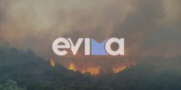 Big fire in Evia: Forest area burning – Hotel evacuated and 112 sent