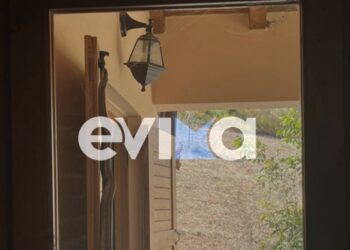 Φίδι σκαρφάλωσε στο παντζούρι σπιτιού – Βίντεο από τη στιγμή της απομάκρυνσής του