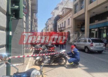 Πάτρα: Φίδι… έκοβε βόλτες και κρύφτηκε σε μηχανάκι – Οι πυροσβέστες άφησαν σημείωμα στον ιδιοκτήτη
