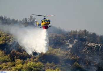 Πολύ υψηλός κίνδυνος πυρκαγιάς για τη Δευτέρα σε Κρήτη και Βόρειο Αιγαίο
