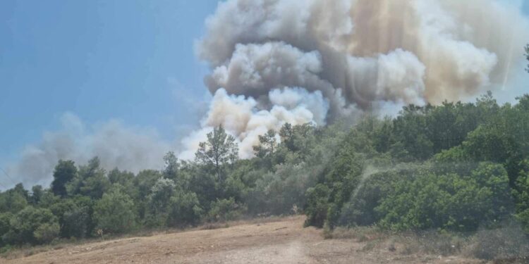 Κυκλοφοριακές ρυθμίσεις στην περιοχή του Άνω Σουλίου