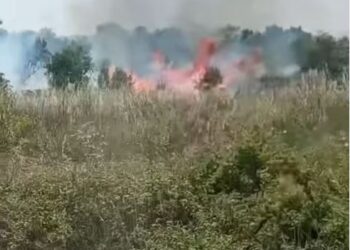 Φωτιά στα Άβδηρα Ξάνθης: Στη «μάχη» 3 αεροσκάφη