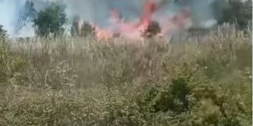 Φωτιά στα Άβδηρα Ξάνθης: Στη «μάχη» 3 αεροσκάφη