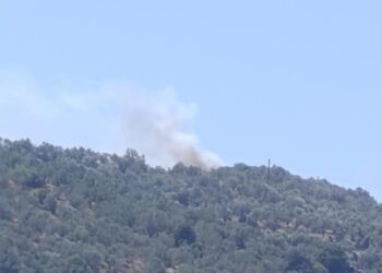 Φωτιά στην Λέσβο – Επιχειρούν 10 εναέρια μέσα