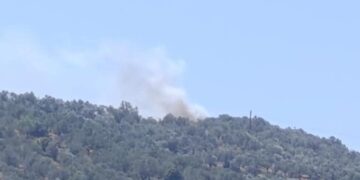 Φωτιά στην Λέσβο – Επιχειρούν 10 εναέρια μέσα