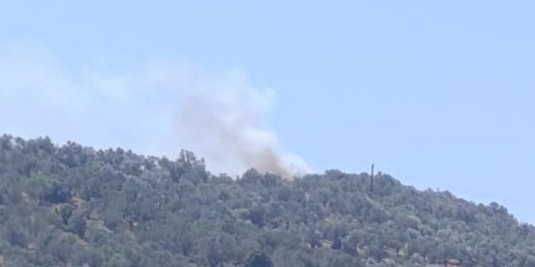 Φωτιά στην Λέσβο – Επιχειρούν 10 εναέρια μέσα