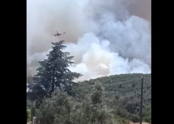 Φωτιά στον Μαραθώνα: «Θεωρώ πως θα καταφέρουμε να την ελέγξουμε» λέει ο αντιδήμαρχος στο enikos.gr